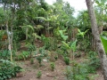 dsc00680