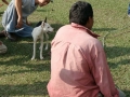 dsc00726