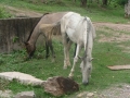dsc00764