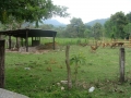 dsc00768